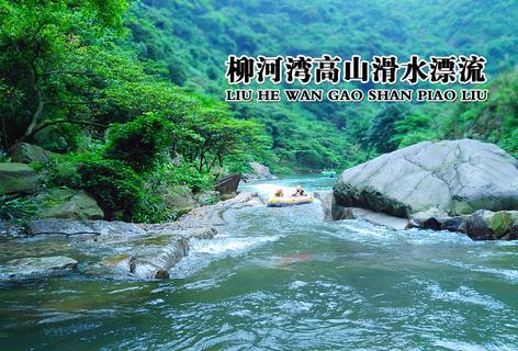 从压力到植物神经紊乱：一个白领女性的真实经历