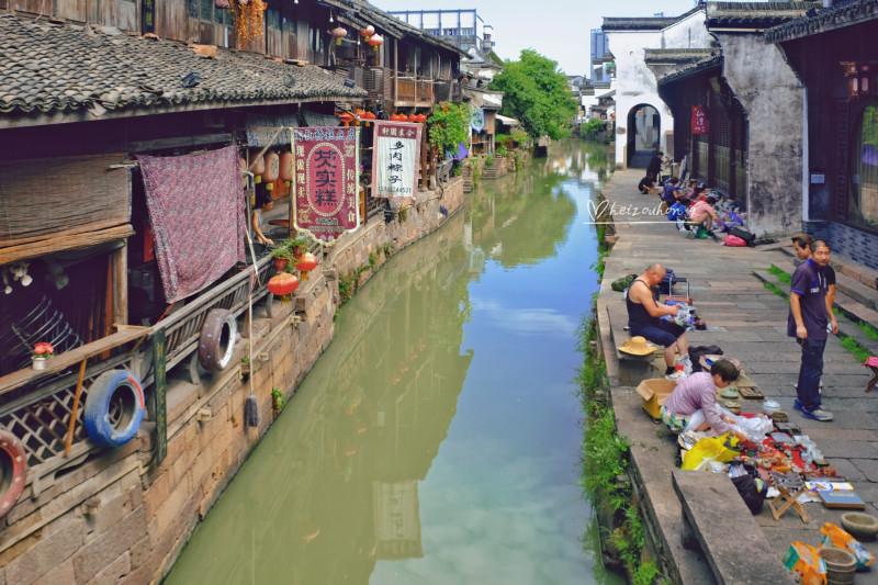 拯救精灵的土地9